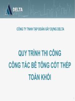 Delta   quy trinh thi cong btct toan khoi