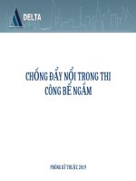 Delta   bien phap chong day noi khi thi cong be ngam