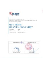 Ricons   quy trình quản lý công nhật