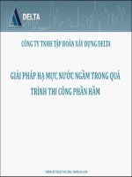 Delta   ha muc nuoc ngam rev 01