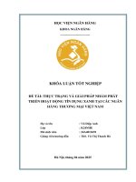 Khóa luận tốt nghiệp Ngân hàng: Thực trạng và giải pháp nhằm phát triển hoạt động tín dụng xanh tại các ngân hàng thương mại Việt Nam