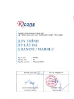 Ricons   quy trình Ốp lát Đá granite marble