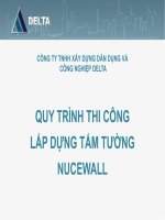 Delta   quy trinh thi cong tam tuong nucewall