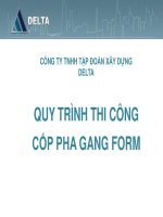 Delta   quy trinh thi cong coppha gang form