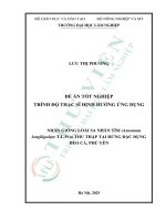 Nhân giống loài sa nhân tím (amomum longiligulare t l wu) thu thập tại rừng Đặc dụng Đèo cả, phú yên