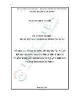 Nâng cao chất lượng tín dụng tại ngân hàng thương mại cổ phần phát triển thành phố hồ chí minh nhánh phú mỹ, thành phố hồ chí minh