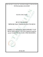 Nghiên cứu một số Đặc Điểm sinh học và kỹ thuật nhân giống cây lùng (bambusa longgissia sp nov) tại huyện quan sơn, tỉnh thanh hóa