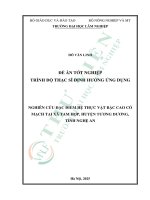 Nghiên cứu Đặc Điểm hệ thực vật bậc cao có mạch tại xã tam hợp, huyện tương dương, tỉnh nghệ an