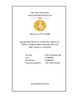 Khóa luận tốt nghiệp Kinh doanh quốc tế: Hoạt động xuất khẩu hạt nhựa của Công ty Sunrise Colours Việt Nam: Thực trạng và giải pháp