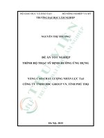 Nâng cao chất lượng nhân lực tại công ty tnhh hdc group vn, tỉnh phú thọ