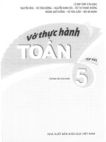 Vo thuc hanh toan 5   tap 2 (kntt)