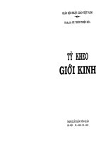 Ty kheo gioi kinh (dong giua)