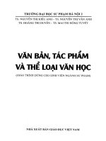 Van ban tac pham the loai