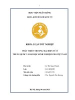 Khóa luận tốt nghiệp Kinh doanh quốc tế: Phát triển thương mại điện tử ở Trung Quốc và bài học kinh nghiệm cho Việt Nam