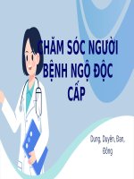 Nhóm 3 Đan Đông dung duyên csnb ngộ Độc cấp (1)