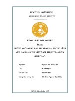 Khóa luận tốt nghiệp Kinh doanh quốc tế: Phòng ngừa gian lận thương mại trong lĩnh vực Hải quan tại Việt Nam. Thực trạng và giải pháp