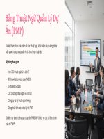 Bảng Thuật Ngữ Quản Lý Dự Án PMP