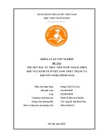 Khóa luận tốt nghiệp Kinh tế đầu tư: Thu hút đầu tư trực tiếp nước ngoài theo khu vực kinh tế ở Việt Nam: Thực trạng và Khuyến nghị chính sách