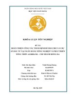 Khóa luận tốt nghiệp Kinh tế đầu tư: Hoàn thiện công tác thẩm định rủi ro cho vay dự án đầu tư tại Ngân hàng Nông nghiệp và Phát triển Nông thôn - Agribank Chi nhánh Đống Đa