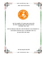 Đề tài nghiên cứu khoa học: Mối quan hệ giữa chuyển đổi số, đa dạng hóa thu nhập và sự ổn định của ngân hàng