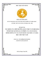 Đề tài nghiên cứu khoa học: Tác động của môi trường, quản trị và xã hội (ESG) tới rủi ro sụp đổ giá cổ phiếu của ngân hàng: Minh chứng từ các ngân hàng tại Châu Á và bài học cho Việt Nam