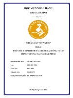Khóa luận tốt nghiệp Tài chính: Phân tích tình hình tài chính tại Công ty cổ phần thương mại An Bình Minh