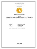 Khóa luận tốt nghiệp Ngân hàng: Ảnh hưởng của biến đổi khí hậu đến rủi ro tín dụng ngân hàng tại Việt Nam giai đoạn 2010 - 2023