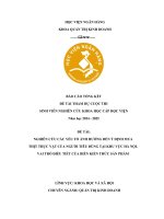 Đề tài nghiên cứu khoa học: Nghiên cứu các yếu tố ảnh hưởng đến ý định mua thịt thực vật của người tiêu dùng tại khu vực Hà Nội: Vai trò điều tiết của biến kiến thức sản phẩm