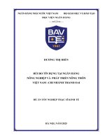 Luận văn thạc sĩ Tài chính ngân hàng: Rủi ro tín dụng tại Ngân hàng Nông nghiệp và Phát triển nông thôn Việt Nam – Chi nhánh Thanh Oai