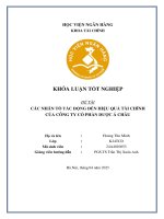 Khóa luận tốt nghiệp Tài chính: Các nhân tố tác động đến hiệu quả tài chính của Công ty cổ phần Dược Á Châu