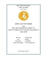 Khóa luận tốt nghiệp Tài chính: Phân tích tình hình tài chính của Công ty TNHH sản xuất Thương mại & Dịch vụ Ngọc Minh