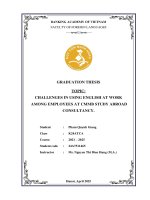 Khóa luận tốt nghiệp Ngoại ngữ: Challenges in using english at work among employees at CMMB Study Abroad Consultancy