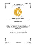 Đề tài nghiên cứu khoa học: Nghiên cứu tác động của nhận thức phàn thưởng và động lực đến ý định kinh doanh với mô hình tiếp thị liên kết: Vai trò của chấp nhận rủi ro ngắn hạn và tính sáng tạo