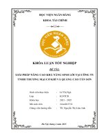 Khóa luận tốt nghiệp Tài chính: Giải pháp nâng cao khả năng sinh lời tại Công ty TNHH Thương mại Cơ khí và Quảng cáo Tân Sơn