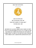 Đề tài nghiên cứu khoa học: Đổi mới sáng tạo song nhiệm xanh và hiệu suất bền vững của doanh nghiệp sản xuất vừa và nhỏ tại Việt Nam trong quá trình chuyển đổi sang nền kinh tế carbon thấp: Vai trò của vốn trí tuệ xanh, lãnh đạo song nhiệm xanh và định hư