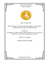 Đề tài nghiên cứu khoa học: Tác động của chiến lược đa dạng hoá đến tỷ lệ an toàn vốn CAR tại các ngân hàng thương mại Việt Nam