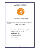 Khóa luận tốt nghiệp Kinh doanh quốc tế: Giải pháp phát triển chuỗi cung ứng lạnh tại Việt Nam