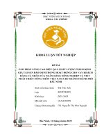 Khóa luận tốt nghiệp Tài chính: Giải pháp nâng cao hiệu quả hoạt động thẩm định giá tài sản bảo đảm trong hoạt động cho vay khách hàng cá nhân tại Ngân hàng Nông nghiệp và phát triển nông thôn Việt Nam Chi nhánh Thành phố Bắc Ninh