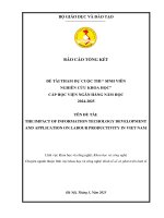 Đề tài nghiên cứu khoa học: The impact of information technology development and application on labour productivity in Vietnam