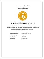 Khóa luận tốt nghiệp Ngân hàng: Tác động của ứng dụng công nghệ thông tin tới rủi ro tín dụng của ngân hàng thương mại Việt Nam