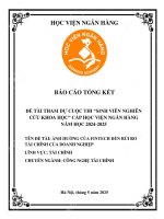 Đề tài nghiên cứu khoa học: Ảnh hưởng của Fintech đến rủi ro tài chính của doanh nghiệp