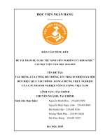 Đề tài nghiên cứu khoa học: Tác động của công bố thông tin trách nhiệm xã hội đến hiệu quả tài chính - Bằng chứng thực nghiệm của các doanh nghiệp năng lượng Việt Nam