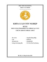 Khóa luận tốt nghiệp Tài chính: Phân tích tình hình tài chính tại CTCP Chứng khoán Mirae Asset