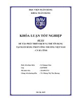 Khóa luận tốt nghiệp Ngân hàng: Phát triển dịch vụ thẻ tín dụng tại Ngân hàng TMCP Công thương Việt Nam - CN Hà Tĩnh