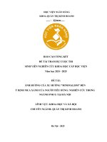 Đề tài nghiên cứu khoa học: Ảnh hưởng của xu hướng “Minimalism” đến ý định mua xanh của người tiêu dùng: Nghiên cứu trong ngành FMCG tại Hà Nội