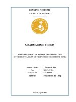 Khóa luận tốt nghiệp Ngân hàng: The Impact of Digital Tranformation On The Profitability Of Vietnamese Commercial Banks