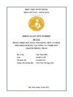 Khóa luận tốt nghiệp Kế toán kiểm toán: Hoàn thiện kế toán vốn bằng tiền và phải thu khách hàng tại Công ty TNHH MTV SX&TM Phong Thao