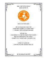 Đề tài nghiên cứu khoa học: Tác động của chuyển dịch năng lượng đến bất bình đẳng thu nhập: Nghiên cứu với dữ liệu cấp quốc gia