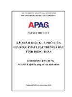BẢO ĐẢM HIỆU QUẢ PHỔ BIẾN, GIÁO DỤC PHÁP LUẬT TRÊN ĐỊA BÀN TỈNH ĐỒNG THÁP