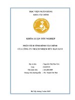 Khóa luận tốt nghiệp Tài chính: Phân tích tình hình tài chính của Công ty Trách nhiệm hữu hạn Savi